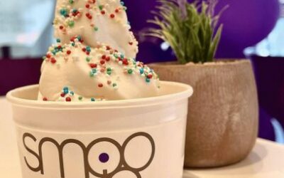 Smoojo, marchand de yaourts glacés à Luxembourg : une expérience gourmande et rafraîchissante