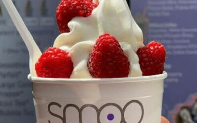 Pourquoi opter pour un yaourt glacé végan à Luxembourg chez Smoojo ?